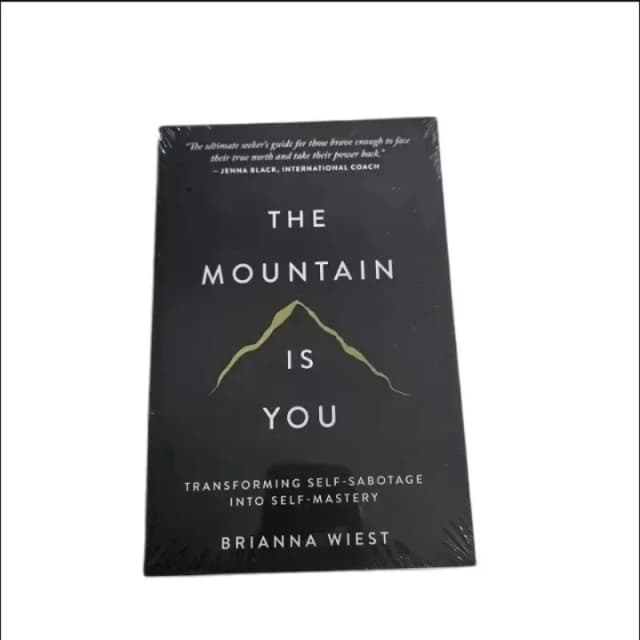 The Mountain Is You: Transforming Self-Sabotage in Self-Mastery Englisch Bücher Geburtstagsgeschenke